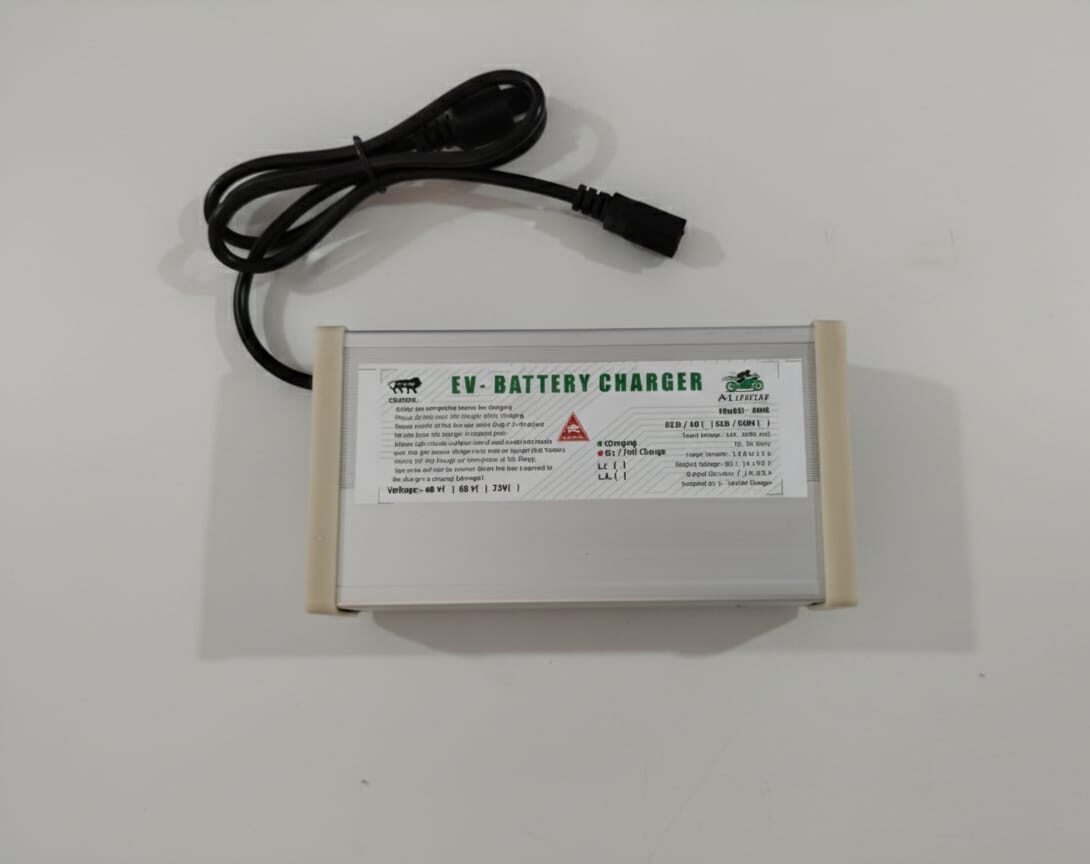 EV Charger (60V / 6A) – Metal Body with Display